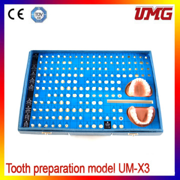 Ce Certification Dcl Material Dental Teeth Models